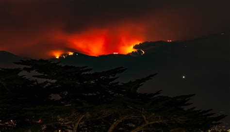 True cost of wildfires still unclear for California cannabis farmers