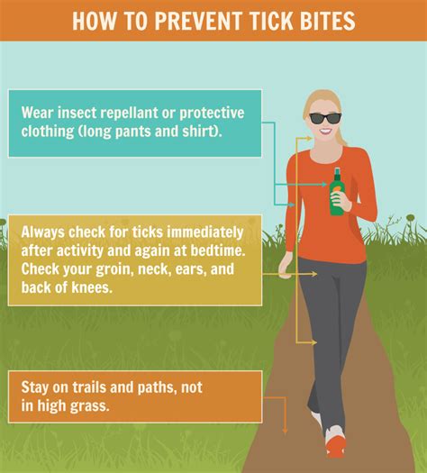 Tick Dangers and Precautions: Learn to Identify and Prevent Tick Bites ...