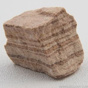 Banded Sandstone Sedimentary Rock - Mini Me Geology