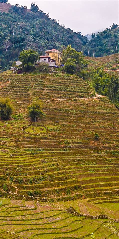 Hiking in Sapa, Vietnam | Travel photos, Vietnam, Go hiking