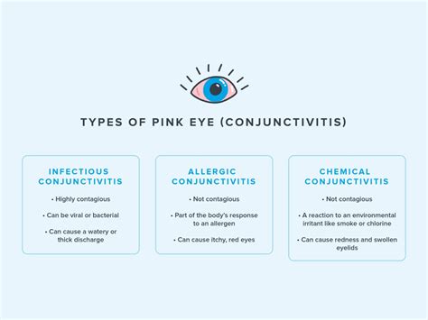 Conjunctivitis: What Is Pink Eye? | Warby Parker