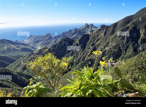 Anaga Mountains, Tenerife Stock Photo - Alamy