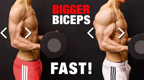 How To Build Bicep Muscle - Plantforce21