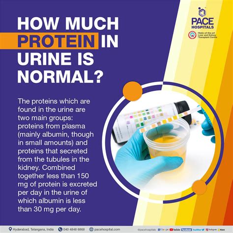 Protein loss in urine (Proteinuria) - Symptoms, Causes and Treatment