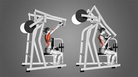 7 Best High Row Machine Alternatives (with Pictures!) - Inspire US