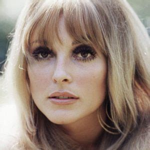 Sharon Tate - Biography, Height & Life Story | Super Stars Bio