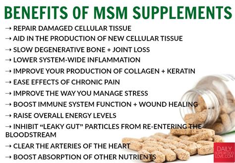 Linda's Voice: Benefits of MSM Supplements