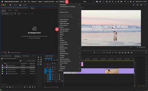 Adobe Premiere Pro Review: Features, Pricing & Guide (2023)