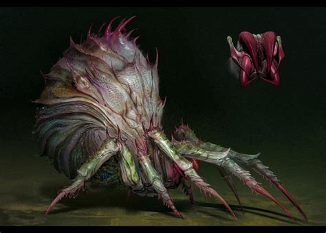 ArtStation - human face spider, sui yangyang | Spider art, Creature concept art, Monster concept art