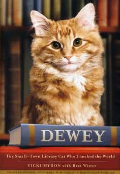 Book Review :: Dewey: The Small-Town Library Cat Who Touched the World ...