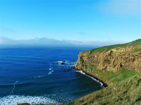 Otago Peninsula | Dunedin | Otago, Dunedin, Trip