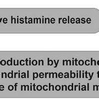 Cellular and molecular mechanisms of the cardiotoxic effects exerted by ...