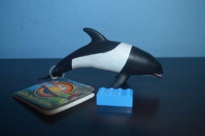 Commerson's dolphin - Toy Animal Wiki