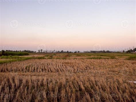 Sunset over rice field in Thailand 9621845 Stock Photo at Vecteezy