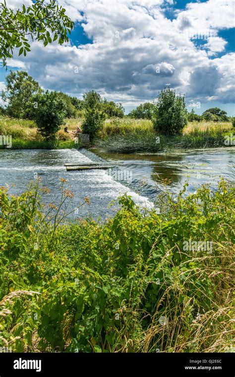 River Stour near Ferndown, Dorset Stock Photo - Alamy