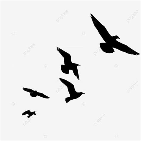 Ilustración De Silueta De Pájaro Volando En El Aire PNG ,dibujos En El ...