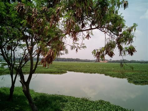 Bellandur Lake - largest lake of Bengaluru