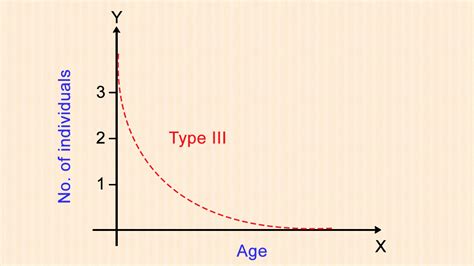 Types of Survivorship Curve with Examples - Science Struck