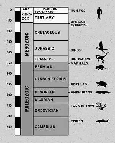 The great Eras of the evolution of life. | Download Scientific Diagram