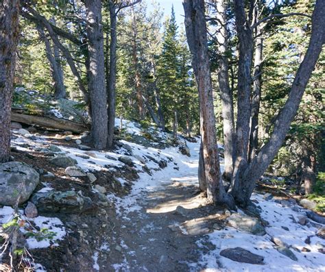 Brainard Lake Recreation Area Winter Hiking! - Crazy About Colorado