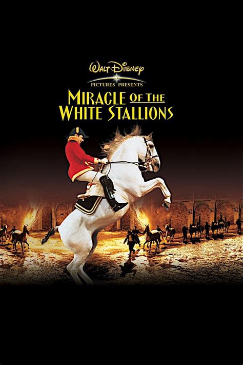 Miracle of the White Stallions (1963) - Posters — The Movie Database (TMDB)