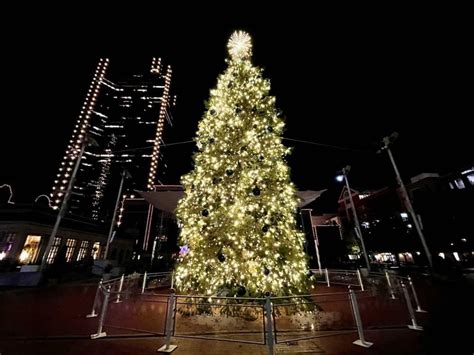 Sundance Square Christmas tree comes back for 2021, but Santa sits out ...