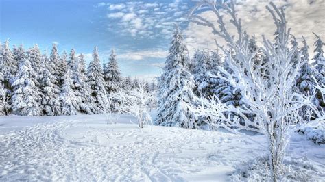 Winter zoom backgrounds free - aslcasino