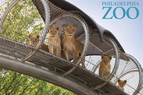 Philadelphia Zoo tickets discount | Philadelphia | Undercover Tourist