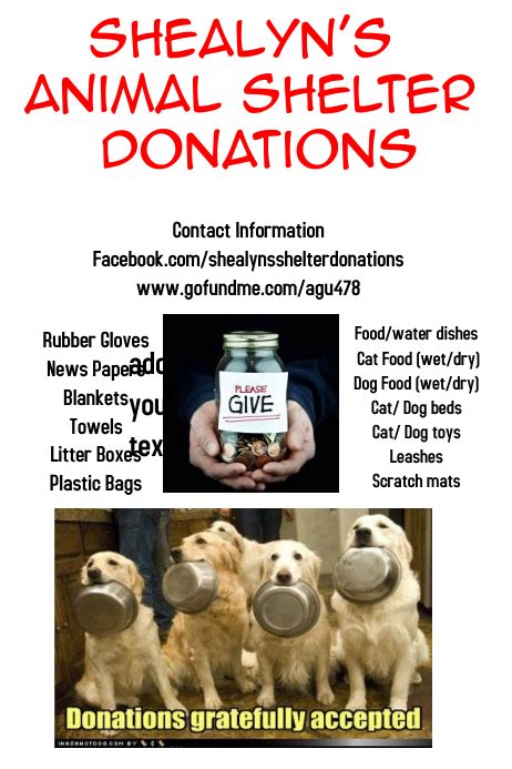 Animal shelter donations Template | PosterMyWall