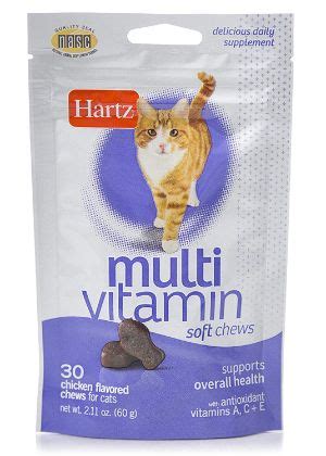 The 25 Best Cat Vitamins of 2020 - Cat Life Today