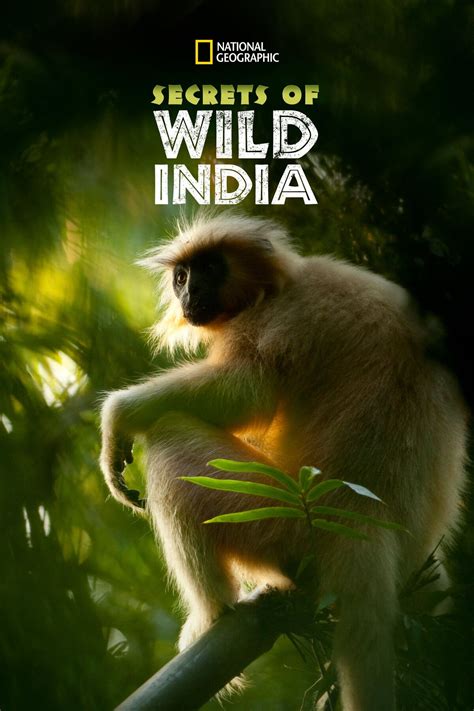 Secrets of Wild India | National Geographic (Worldwide) Wiki | Fandom