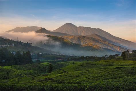 Gunung Gede Pangrango Dibuka Lagi, Pendaki Tak Wajib Tes Covid-19 - Where Your Journey Begins