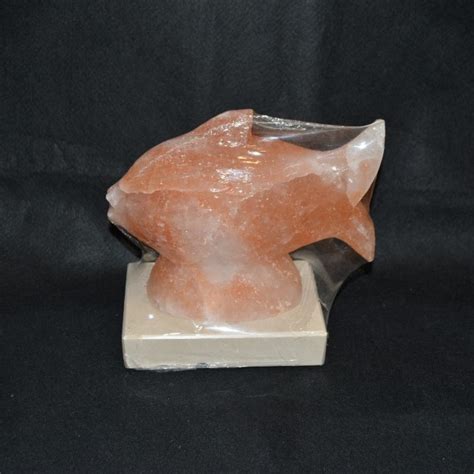 Salt Lamp - Carved Shape - Ithaca Crystals