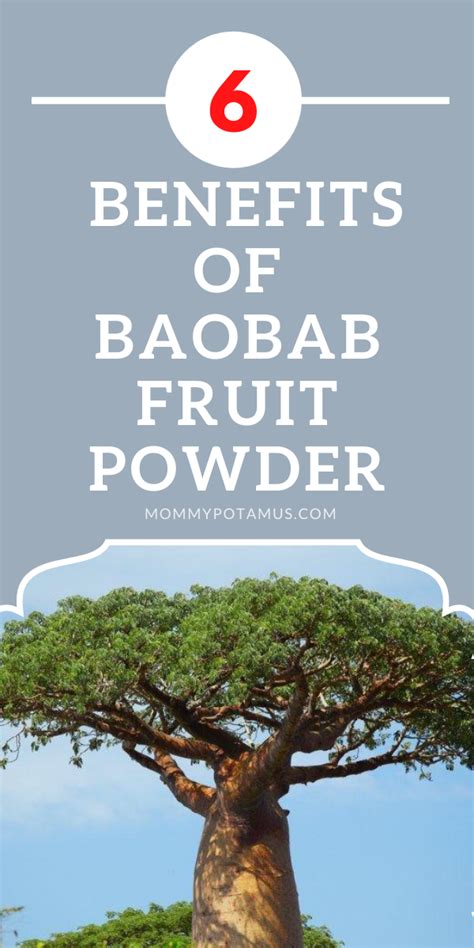 6 Benefits of Baobab Fruit Powder & How To Use It