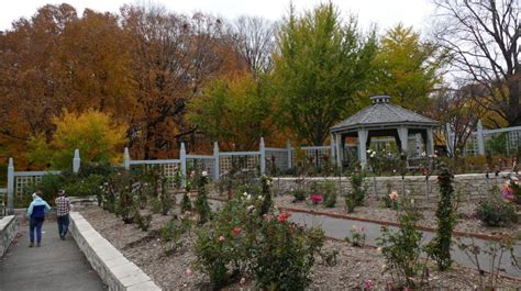 Visiting the Minnesota Landscape Arboretum in Fall - My Northern Garden