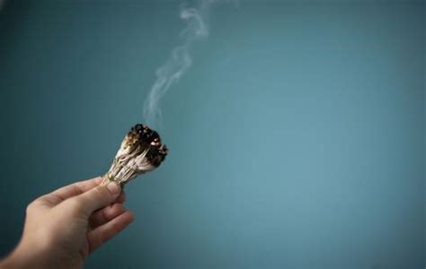 The Top 3 Benefits of Burning Sage — Smudging Benefits