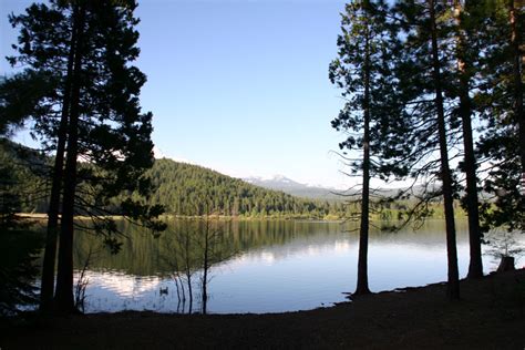 Lake Siskiyou Camp Resort - Discover Siskiyou