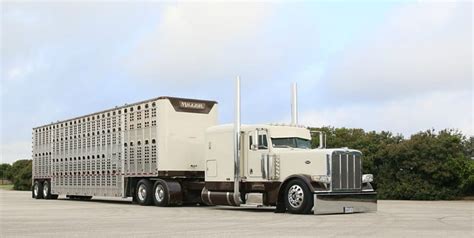 Peterbilt-389, 389, White, Hauling Livestock, Rig, HD wallpaper | Peakpx