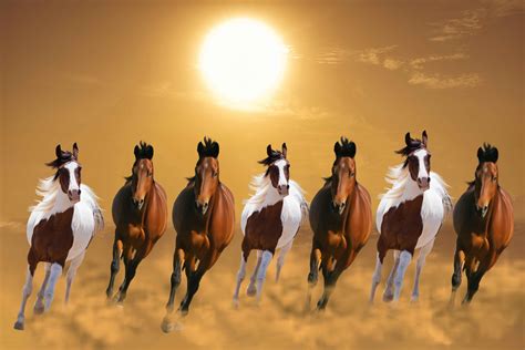 Buy Avikalp Exclusive AZOHP3250 Seven running horses vastu 7 horses ...