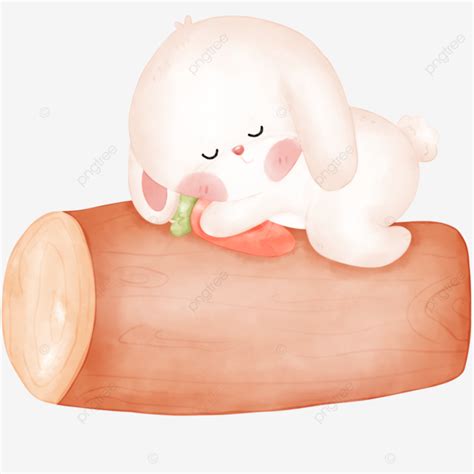 Sleeping Bunny On Tree, Bunny, Rabbit, Wood PNG and Vector with Transparent Background for Free ...