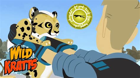 Wild Kratts Creaturepedia: Mammals - Cheetah Creature Power - YouTube