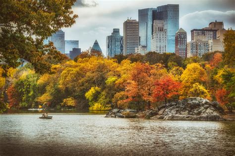 Free stock photo of central park, colors of autumn, new york city