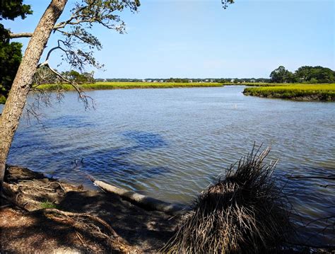 Edisto Island State Park - South Carolina Lowcountry