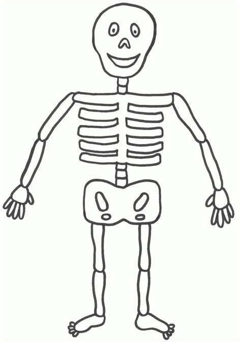 77+ Anatomy Coloring Pages Skeleton | Frauki Chererbse