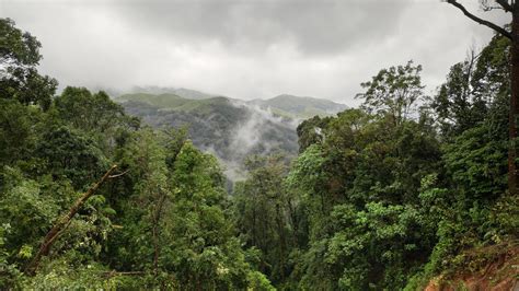 Talakaveri Wildlife Sanctuary