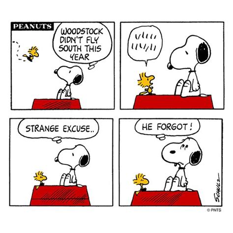 Classic Woodstock | Today's Comic Strip | Pinterest | Woodstock, Snoopy ...