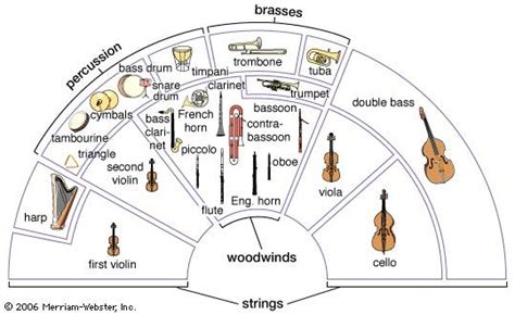 The Journey: Introduction to the String Family Part 1 - Violin, Viola ...