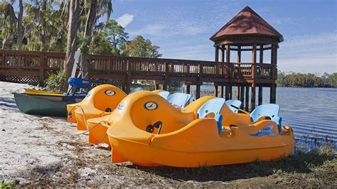 several yellow and blue bumper boats sitting on the shore next to a ...