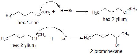 HBr addition to 1-hexene yields both 1-bromohexane and 2-bromohexane ...