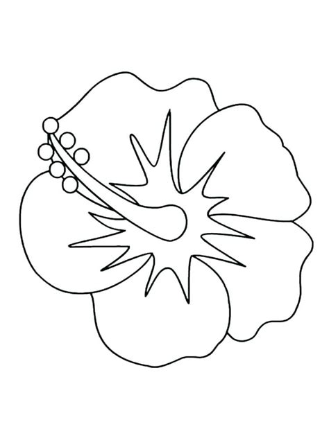 Rainforest Flowers Coloring Pages at GetColorings.com | Free printable colorings pages to print ...